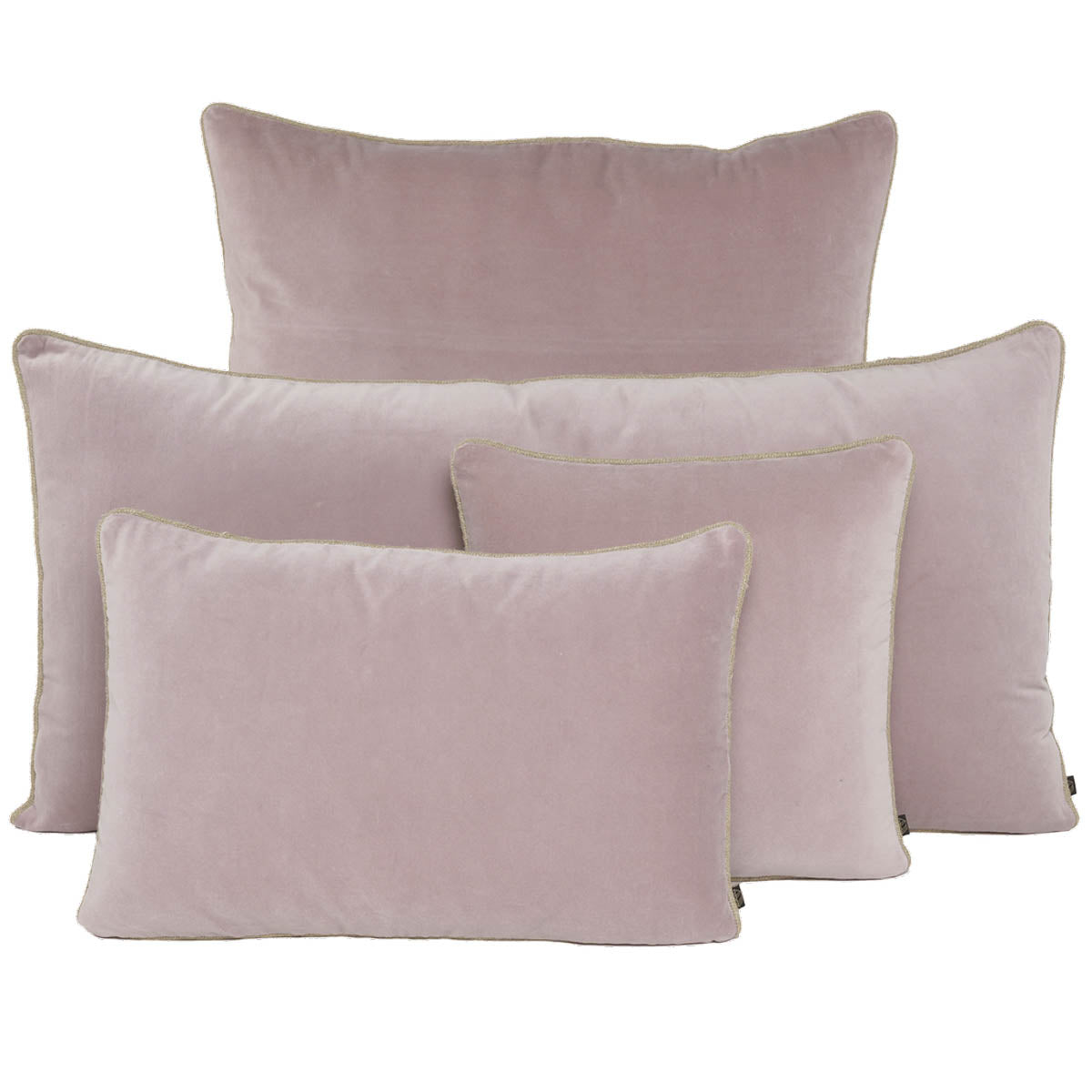 coussin rectangulaire velours new delhi 40x60 cm petale-harmony haomy